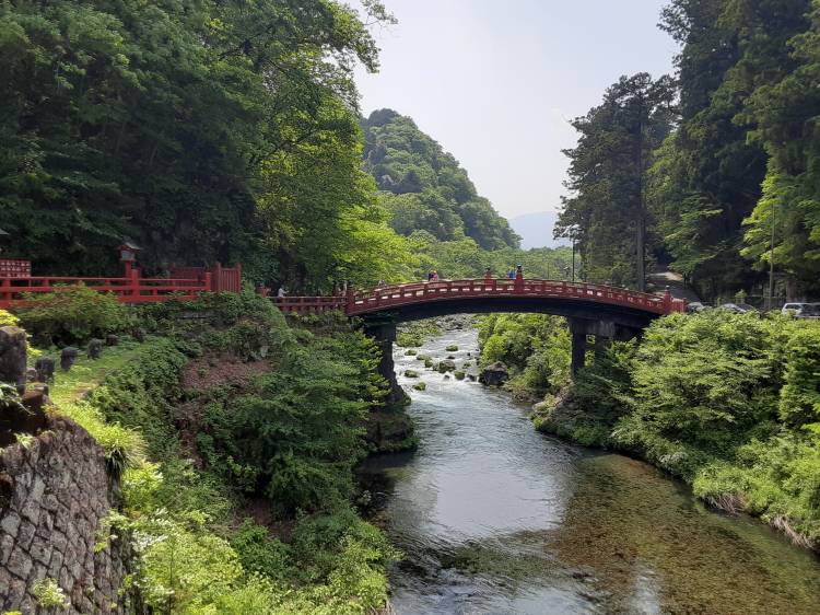 占ってもらった。結果は………☆まなみ☆
