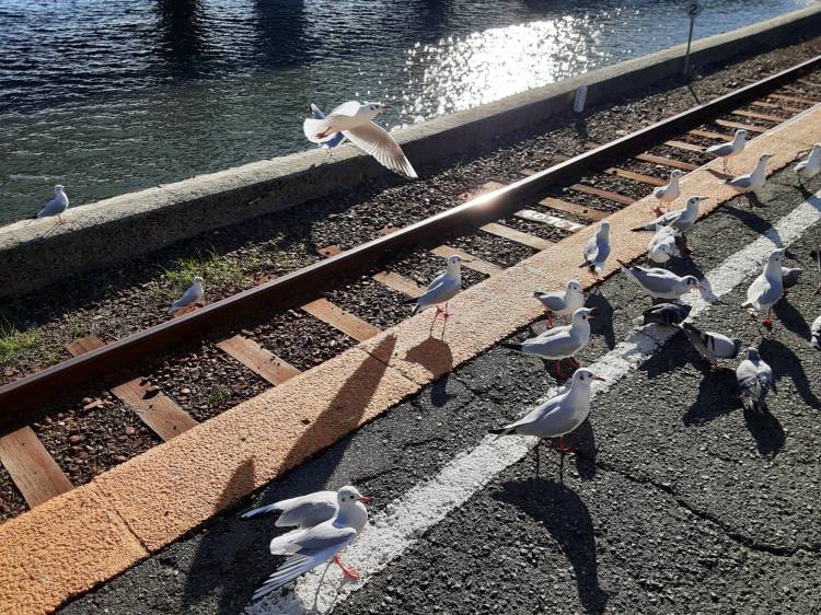 旅日記①in浜名湖☆まなみ☆