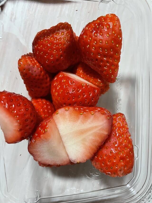 おはようございます