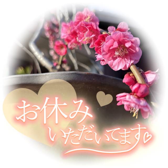 お休み🌸:)