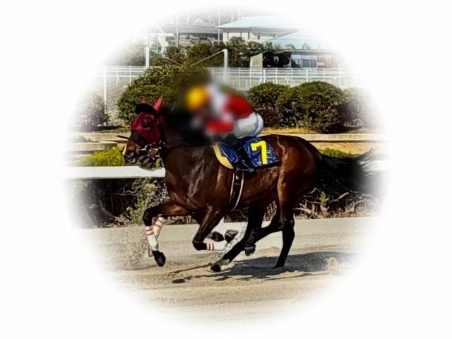 お休み🐴