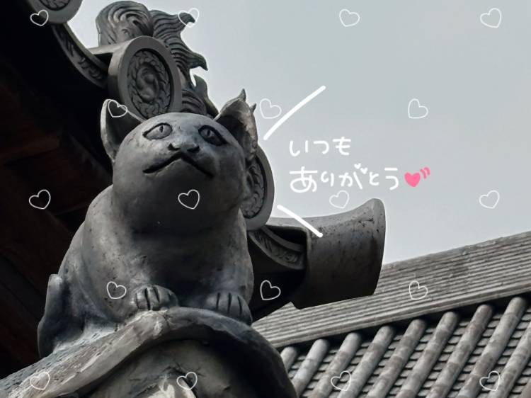 加古川へ☀️｡°