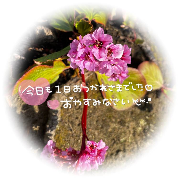 好きな〇〇✨