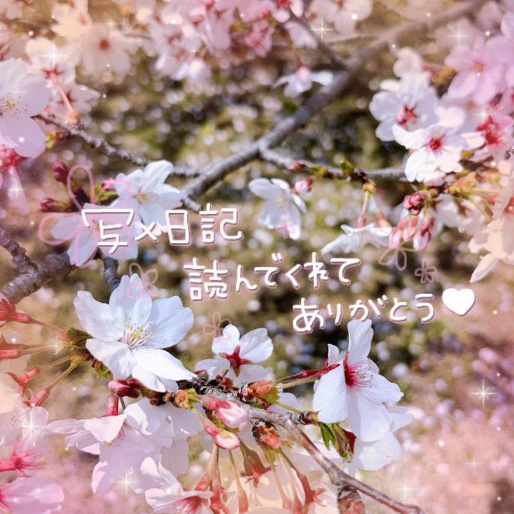 お休み中🌸:)♡