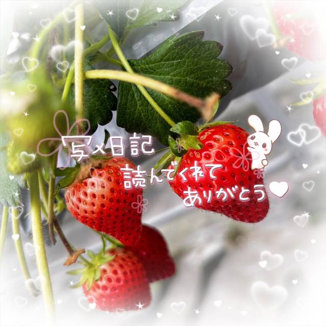 お休み🍓:)*