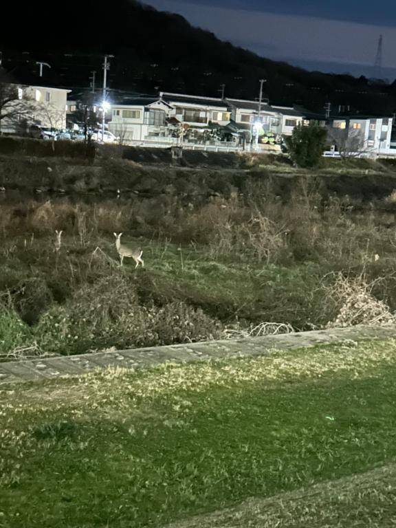 こんにちは‎♡⃛ ̖́-