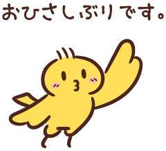 お久しぶりです。