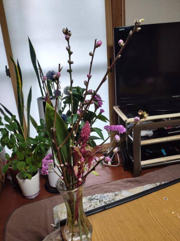 ギガ復活（笑）