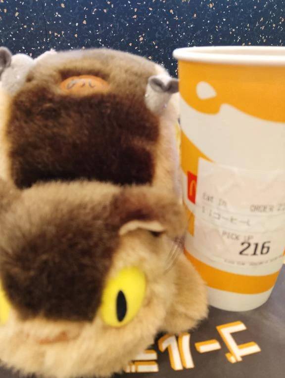 今日もありがとうございました✡
