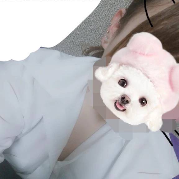 出勤🎶