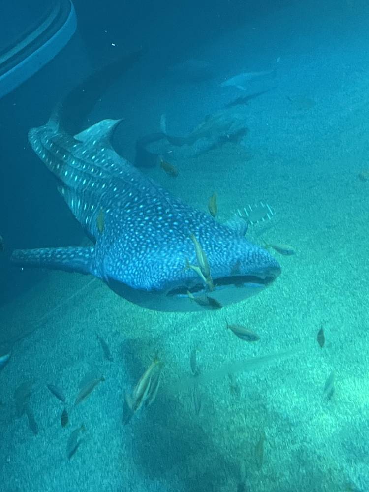 水族館