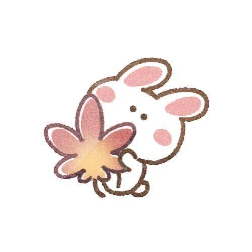 本日！