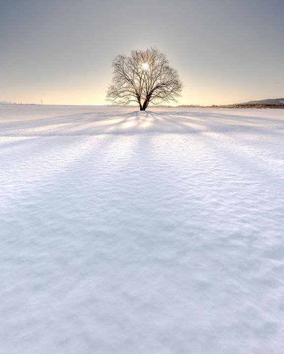 11時から！！！