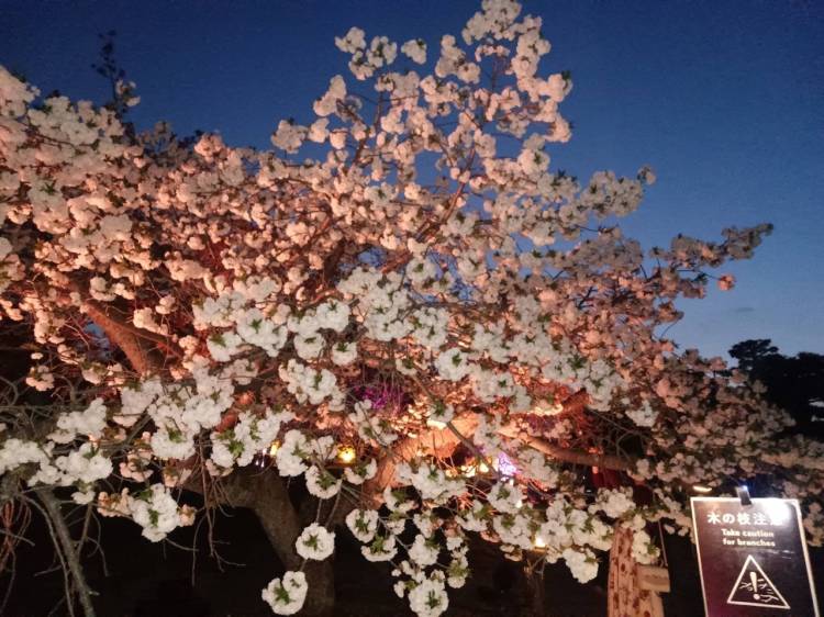 金曜日夜会えたお客様ありがとうございます✨ (⁠ ⁠╹⁠▽⁠╹⁠ ⁠) 