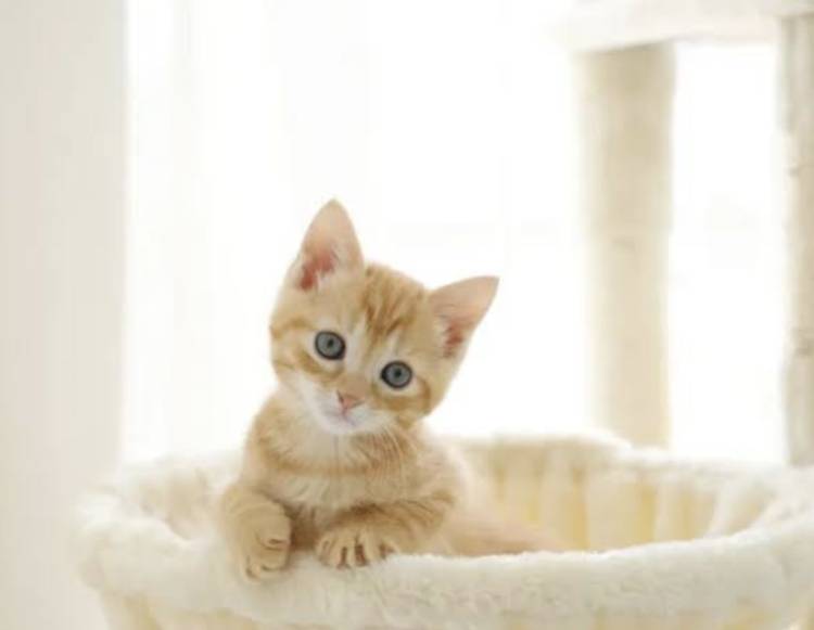 こんばんわ😍
