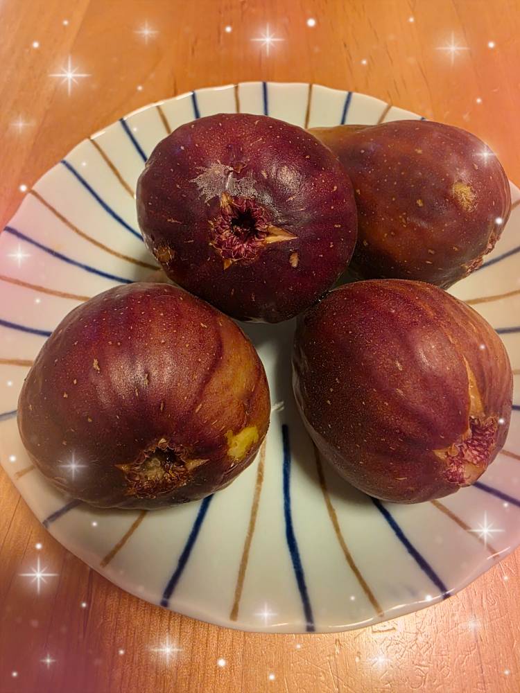 (((o(*ﾟ∀ﾟ*)o)))