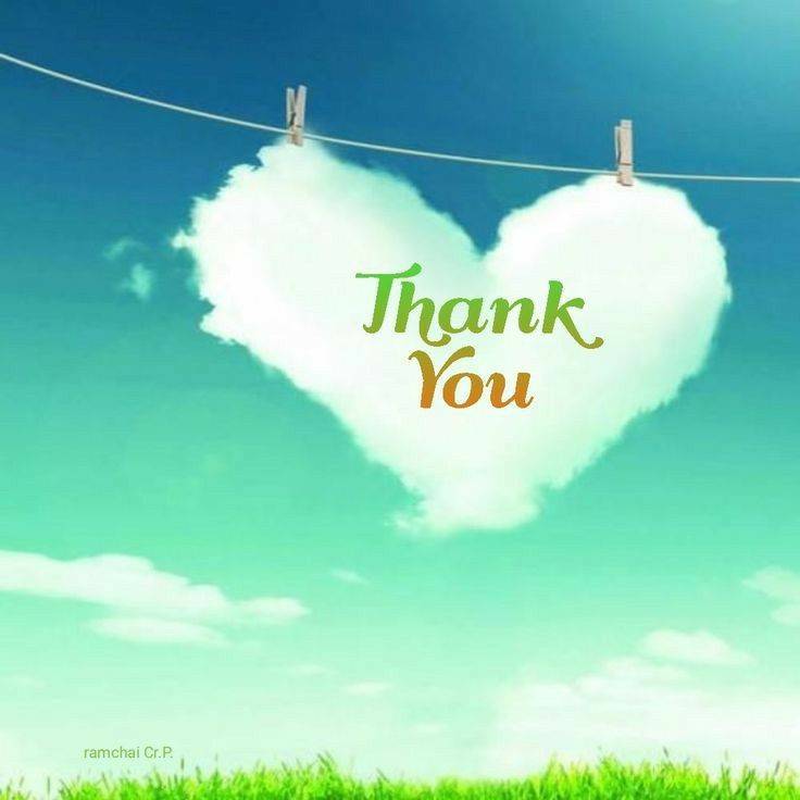 仲園　ひめ(なかその　ひめ)（夢(姫路)）