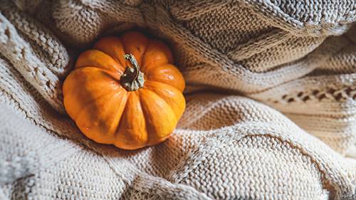 近藤　さら(こんどう　さら)（夢(姫路)）