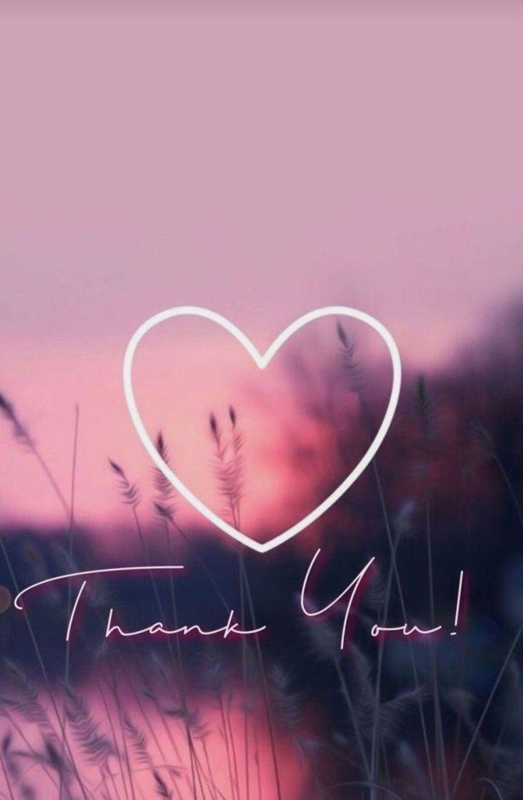 仲園 ひめ(なかその ひめ)(夢(姫路))