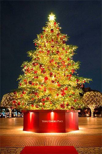 土曜日会えたお客様ありがとうございます♪(⁠ ⁠╹⁠▽⁠╹⁠ ⁠)  