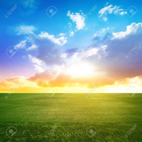 さくら　有紀(さくら　ゆき)（夢(姫路)）