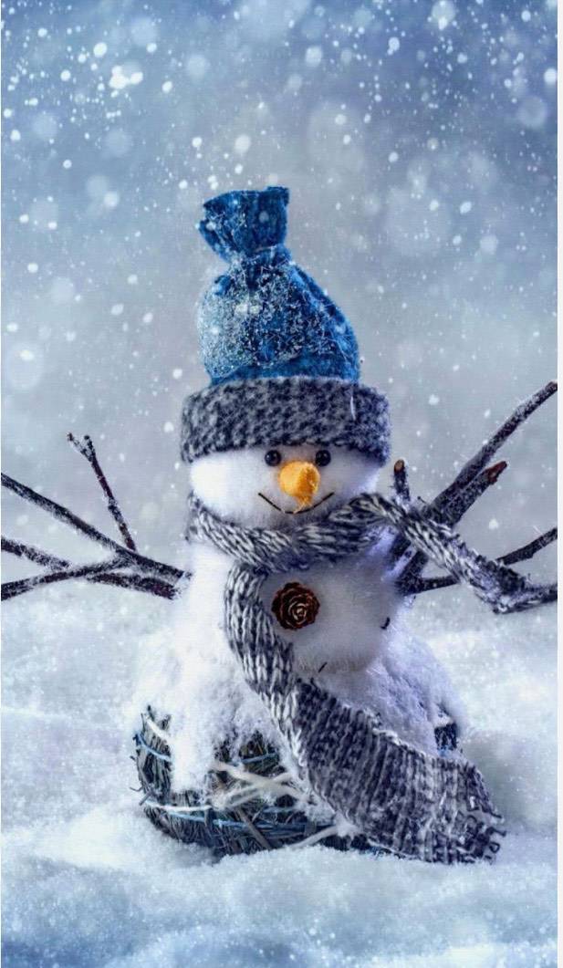 滝沢　楓(たきざわ　かえで)（夢(姫路)）