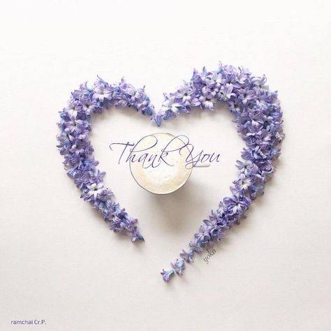 仲園　ひめ(なかその　ひめ)（夢(姫路)）