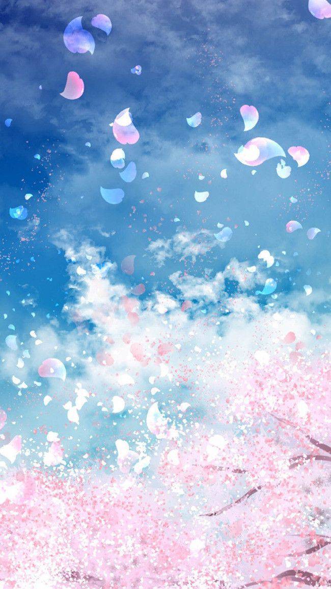 土曜日、来ていただいたお客様ありがとうございます✨