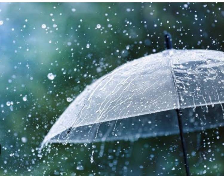 今日は1日雨です