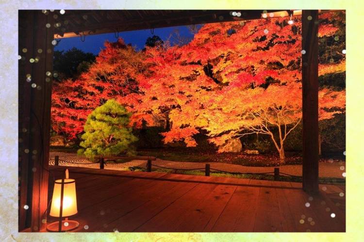 土曜日会えたお客様ありがとうございます✨(⁠ ⁠╹⁠▽⁠╹⁠ ⁠)♪ 