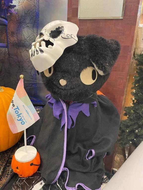 にゃおーん🐱