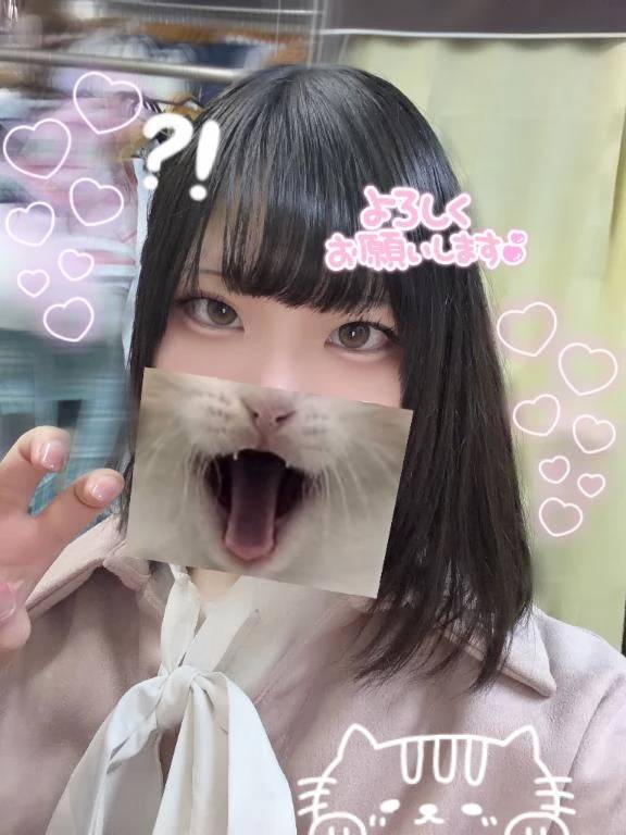 おはようございます☀️