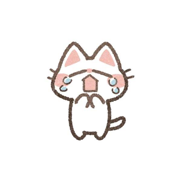 ごめんなさい🥲