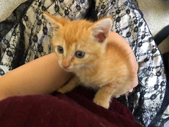 今日は夜出勤🌙