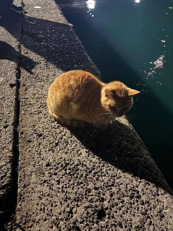 ありがとうございます✨