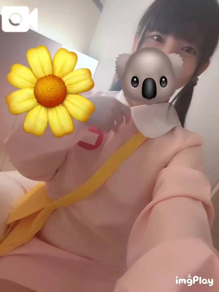 うごく🐰🌼