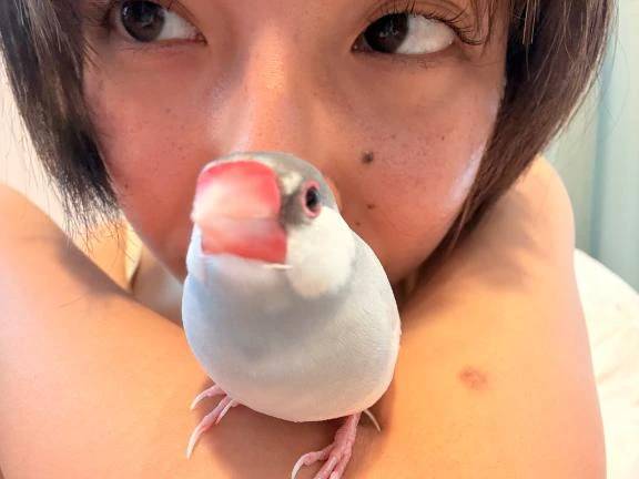 ペットと