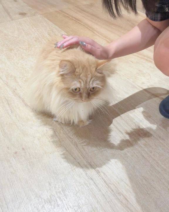 1週間おつかれさま♩
