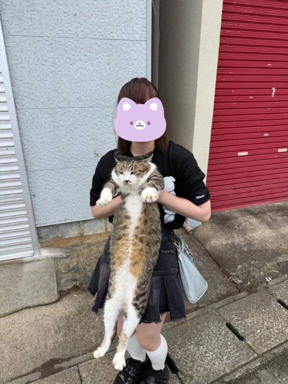 よろろ〜ん♪