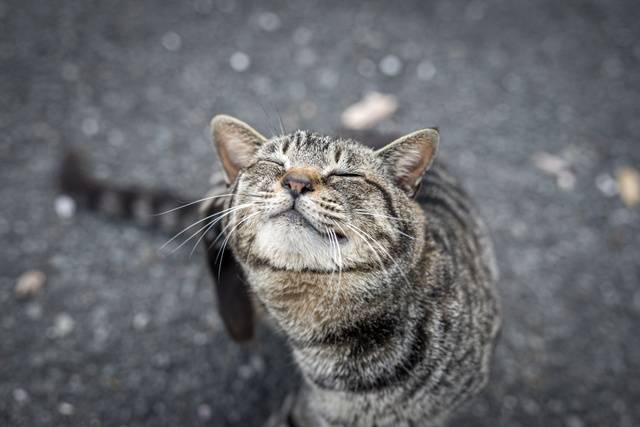 今夜も⭐