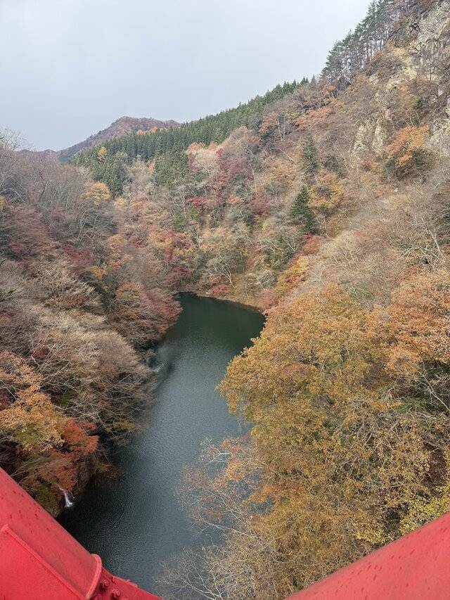 お礼💕