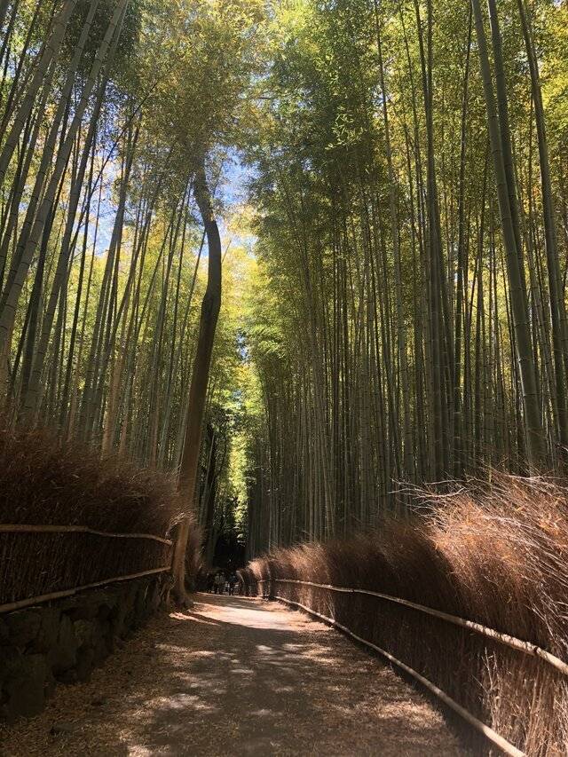 お礼ー！