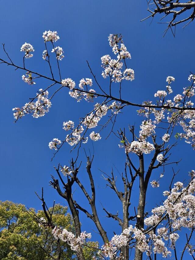 お店到着しました🌸