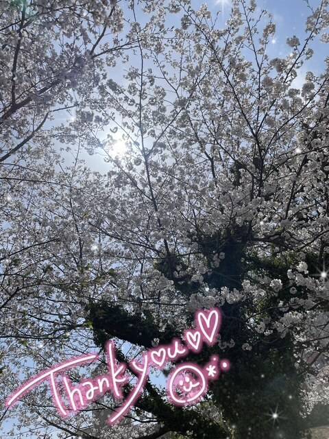 御礼💓