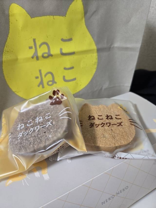 お休み中(*ｐω-)｡O゜