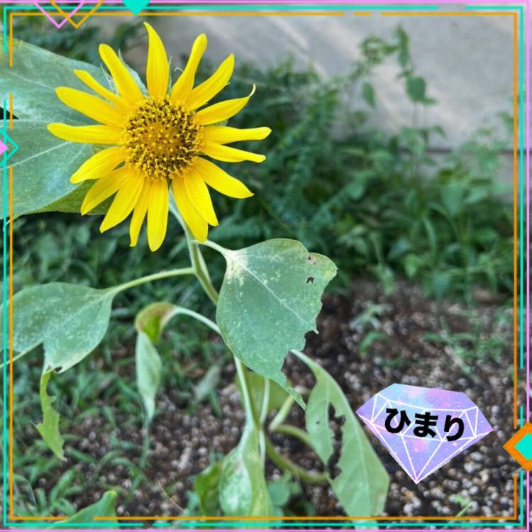 イメチェン★