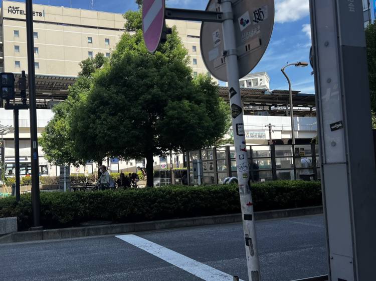 久しぶりです