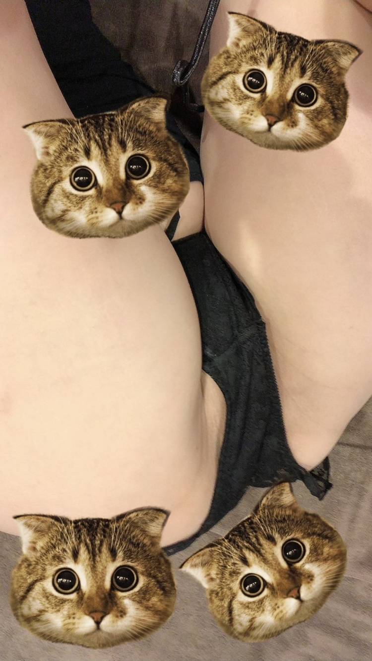 おそめの