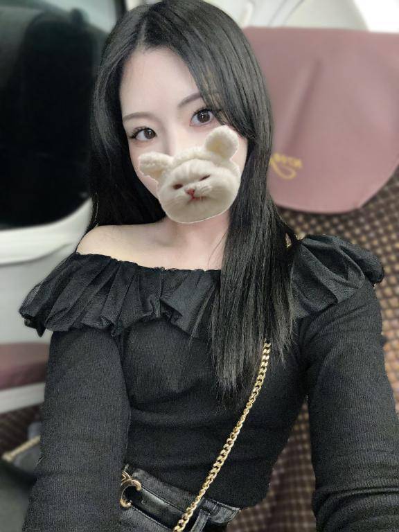 はじめまして🐱