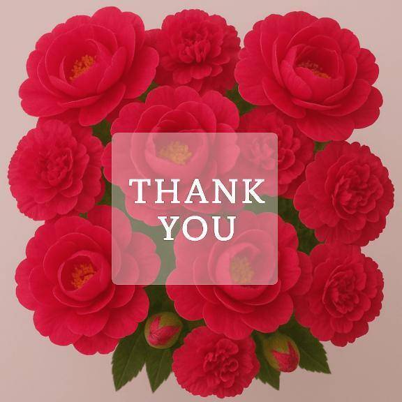 90分Ｋ様御礼🌸